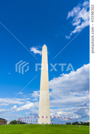 washington dc,Washington monument on sunny day 43596302