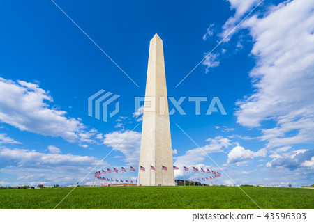 washington dc,Washington monument on sunny day 43596303