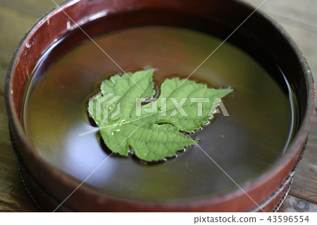 Kaji的葉子 43596554