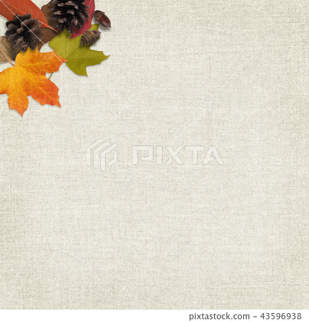 Background-autumn-fallen leaves-tree nuts 43596938