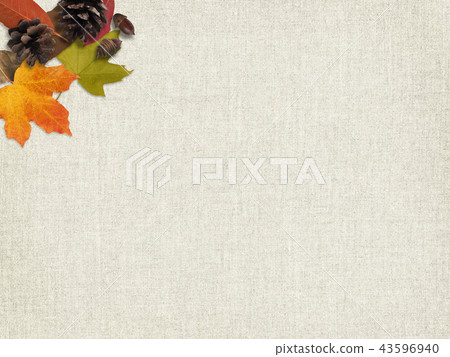 Background-autumn-fallen leaves-tree nuts 43596940