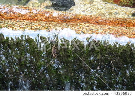 Hotaru no Sato 43596953