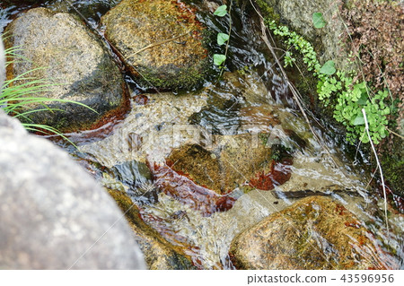 Hotaru no Sato 43596956