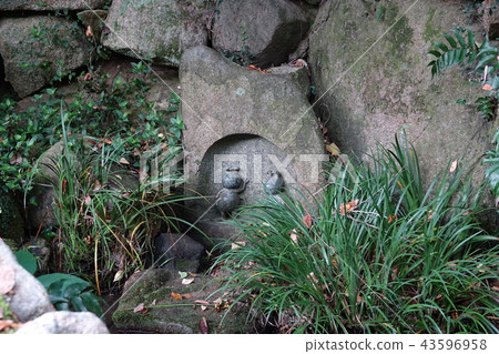 Hotaru no Sato 43596958