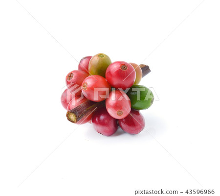 coffee beans on white background. 43596966