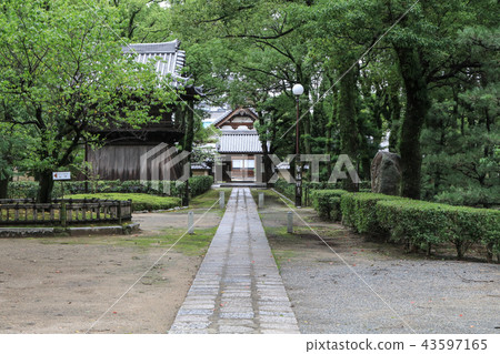 博多的著名寺廟 - 靖國神社Seifukuji 博多的著名寺廟 - 靖國神社Seifukuji 43597165