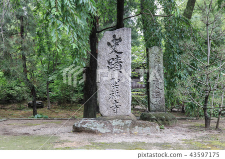 Hakata's famous temple-Yasukuniyama Seifukuji 43597175