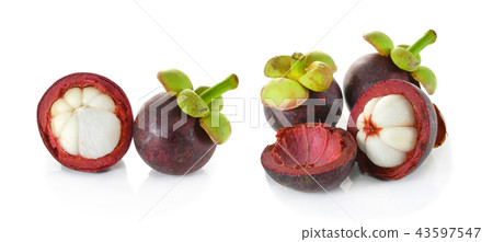 mangosteen isolated on white background mangosteen isolated on white background 43597547