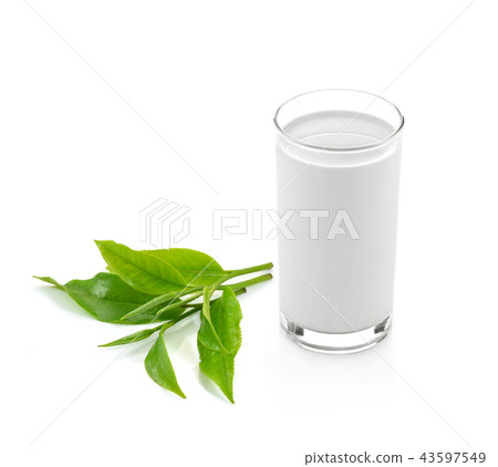 glass of milk and green tea leaf white background glass of milk and green tea leaf white background 43597549