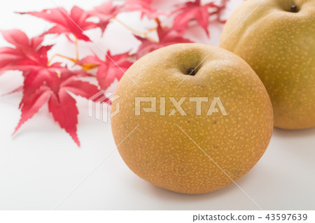Toyomizu pear 43597639