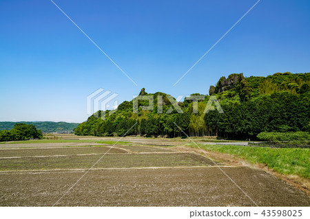 Tanameso花園 Tanameso花園 43598025