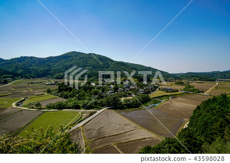 Tanameso花園 Tanameso花園 43598028