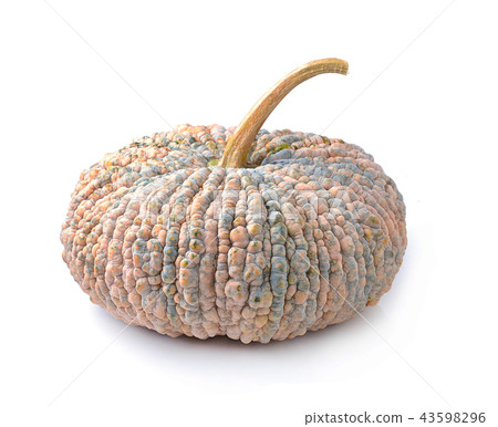 Pumpkins isolated on white background Pumpkins isolated on white background 43598296