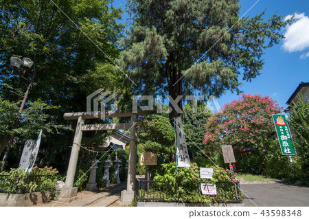 Goshosha Yono Saitama City Goshosha Yono Saitama City 43598348