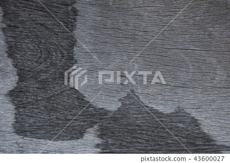 wood isolated background. wood isolated background. 43600027