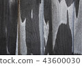 wood isolated background. 43600030