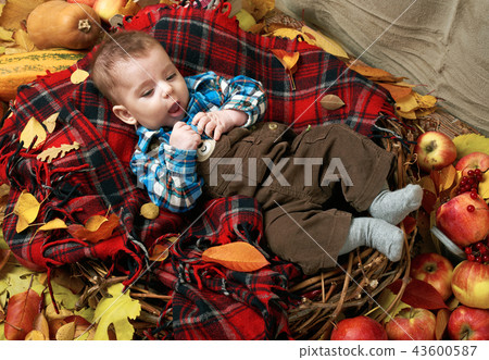autumn concept - child boy lie on yellow leaves autumn concept - child boy lie on yellow leaves 43600587