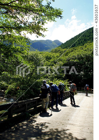 Trekking course from the Yoshibe mountaineering entrance to the boulder Season to feel the sign of autumn 43601637