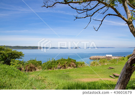 Seaside landscape Seaside landscape 43601679