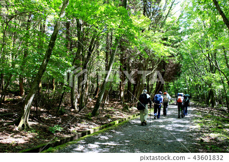 Trekking course from the Yoshibe mountaineering entrance to the boulder Season to feel the sign of autumn Trekking course from the Yoshibe mountaineering entrance to the boulder Season to feel the sign of autumn 43601832