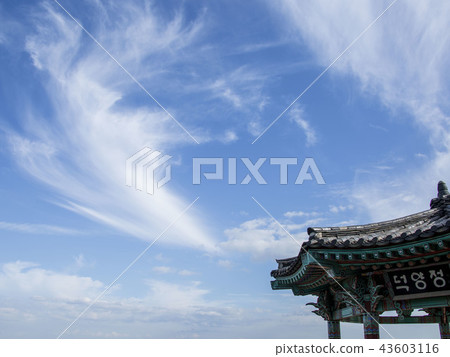 陽光酸月光旅行 陽光酸月光旅行 43603116