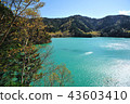 Shiga Kogen (Onuma pond) 43603410