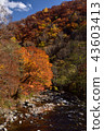Shiga Kogen (Oku Shiga) 43603413