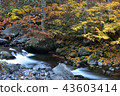 Shiga Kogen (Oku Shiga) 43603414
