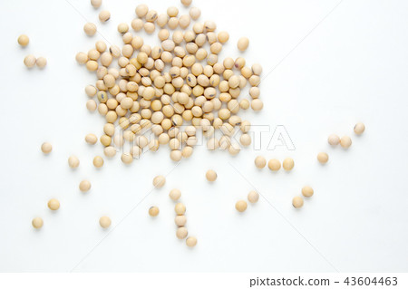 soybean on gray color background. top view. 43604463