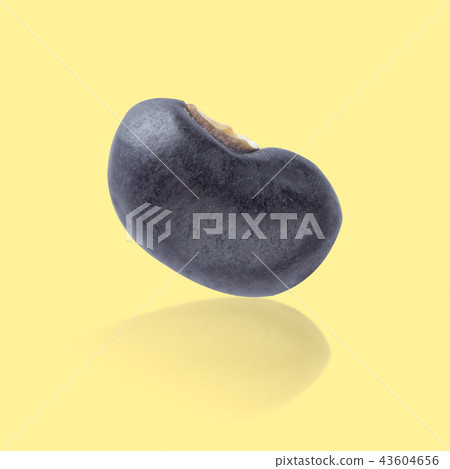 black bean on yellow color background black bean on yellow color background 43604656