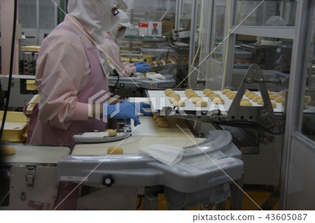日本蛋糕工廠參觀 日本蛋糕工廠參觀 43605087