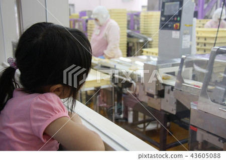 Japanese cake factory tour 43605088