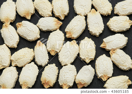 Bitter gourd species Bitter gourd species 43605185