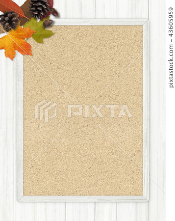 Background-Autumn-Fallen Leaves-Nuts-Frame Background-Autumn-Fallen Leaves-Nuts-Frame 43605959