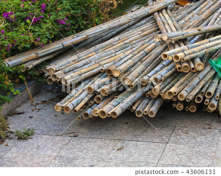 The connected dry bamboo wood The connected dry bamboo wood 43606131