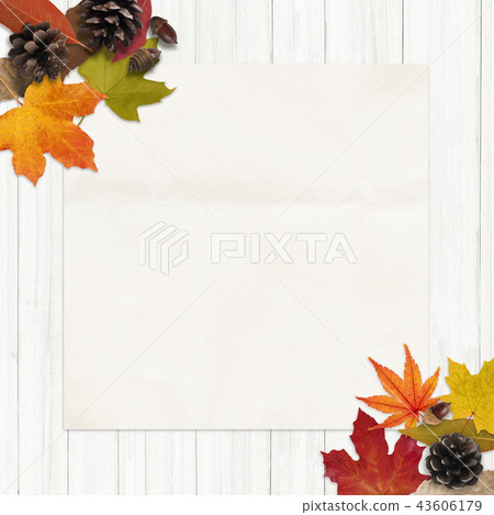 背景秋天下落的葉子堅果框架 43606179