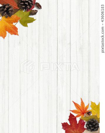 Background-Autumn-Fallen Leaves-Nuts-Frame 43606183