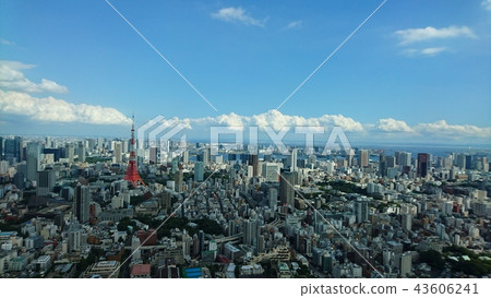 東京的藍天 43606241