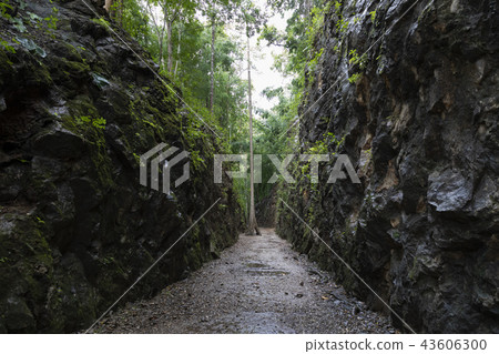 Tainan Railway Track Hellfire Pass in Kanchanaburi Tainan Railway Track Hellfire Pass in Kanchanaburi 43606300