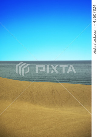 Tottori Sand Dunes Blue Sky 43607824