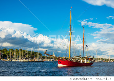 Windjammer on the Hanse Sail in Rostock, Germany 43608197