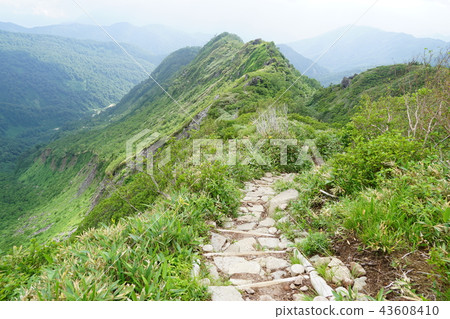 白山旅遊Shindo 43608410