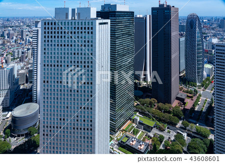 High-rise buildings in the Shinjuku subcenter of the city 43608601