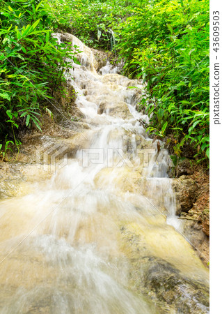 green forest waterfall 43609503
