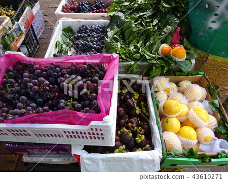 Public market in Guangdong Province Public market in Guangdong Province 43610271