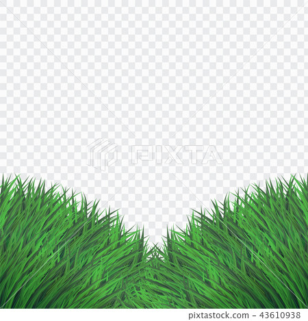 Green Bush Grass Template 43610938