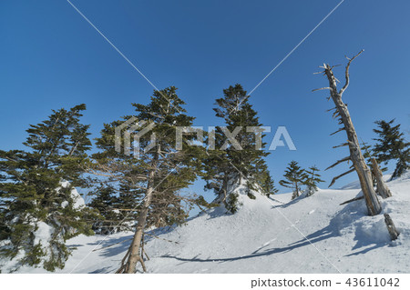 Snow mountain Snow scene of ski area 43611042