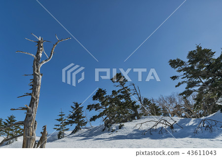 Snow mountain Snow scene of ski area 43611043