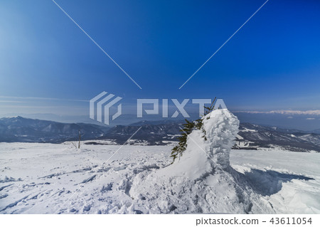 Snow mountain Snow scene of ski area 43611054