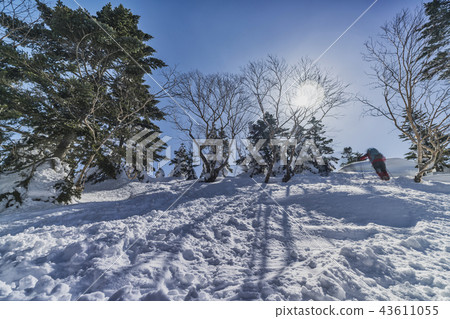 Snow mountain Snow scene of ski area 43611055